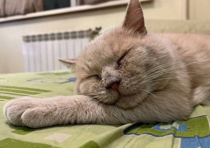 ������ ������ ���� ����