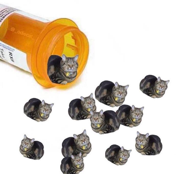 ��� ����������