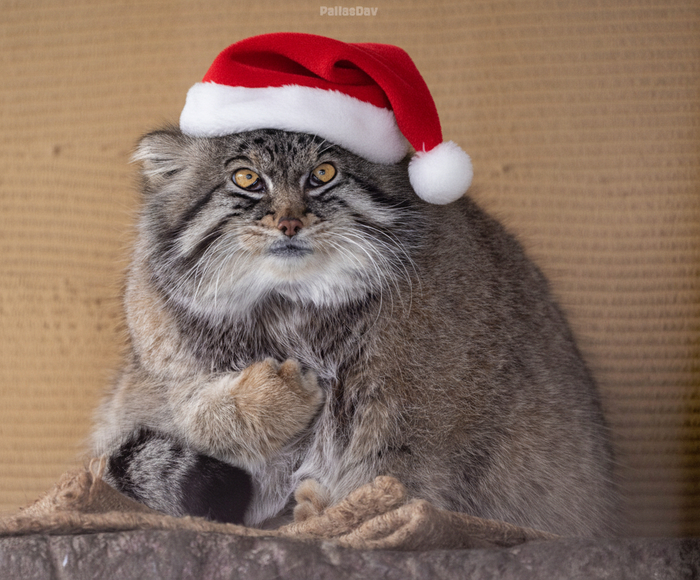 �� ������ ����� �����!