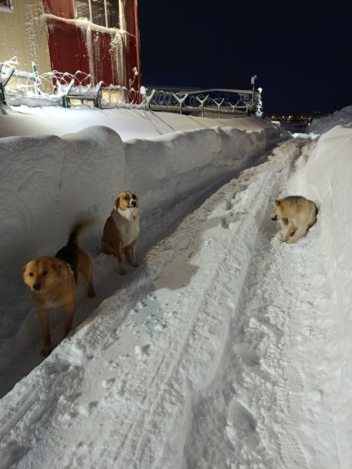 ��������� ������ :-)))