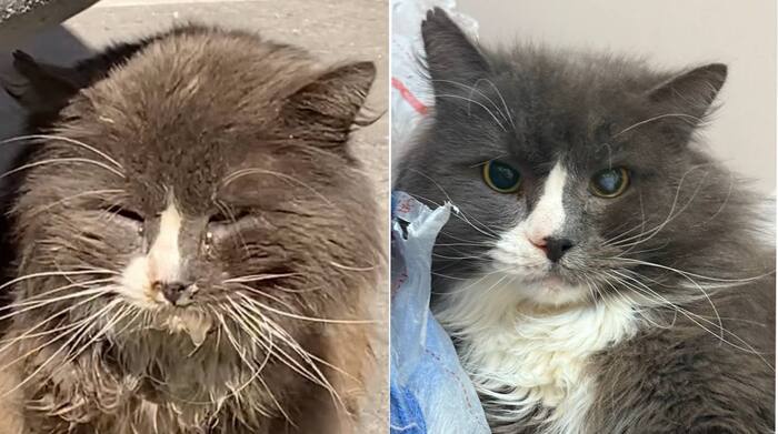 ���� ���� �������, ����� �, �� �������� ���. ������� ������ ���� ��������, ������� ����� ���� ���! ������ � ������ ������