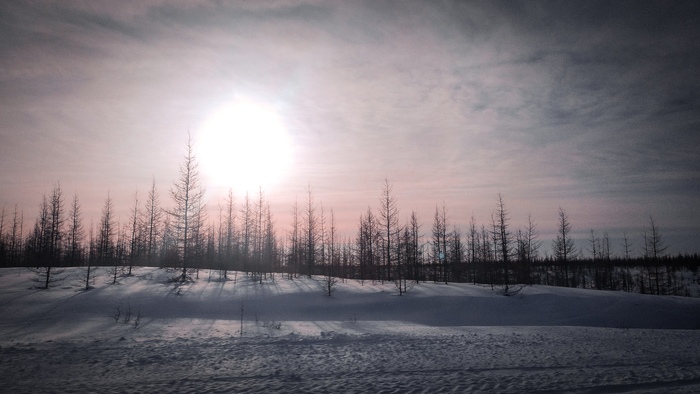 �� ������ �� ���