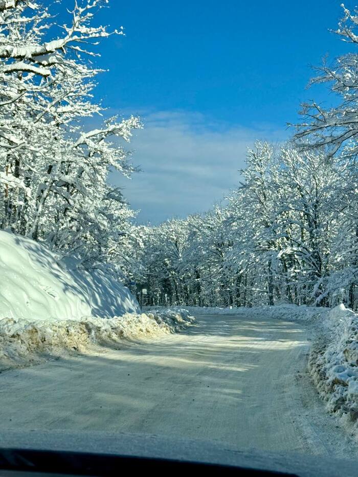 ���������� �������