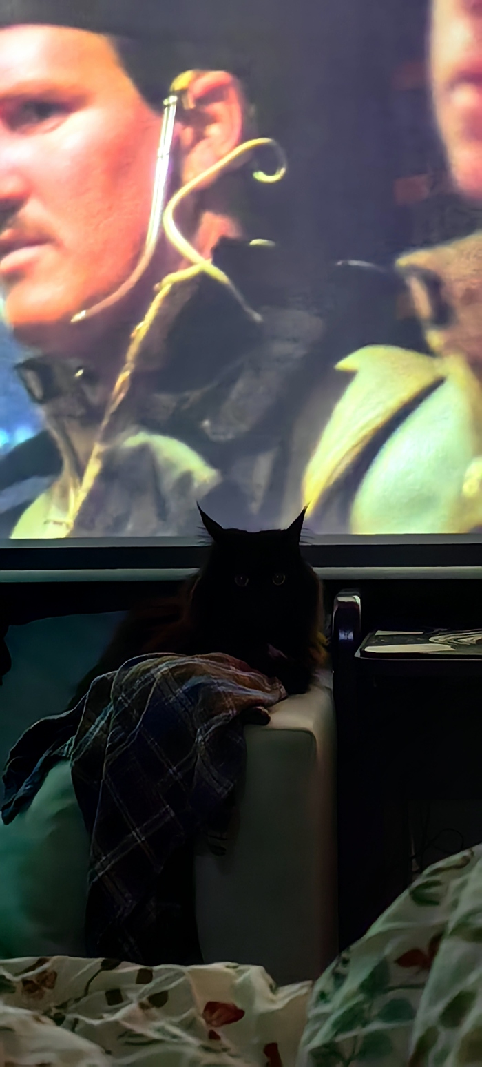 � ���� ��� ������� �� �������� �������. ��� �� ������ ������?