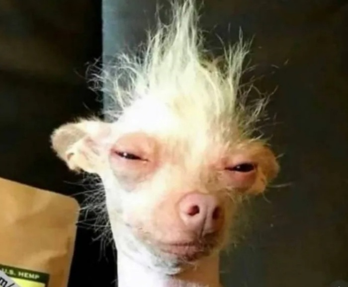 ���, �����, ����� �� �� �����?�