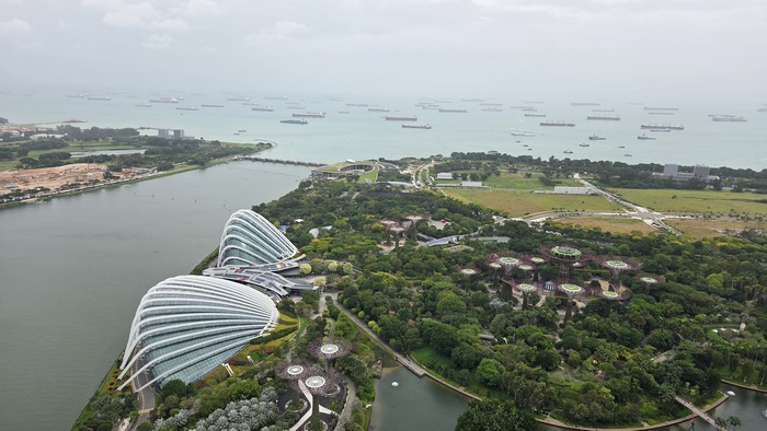 ��� �� ���� Gardens by the Bay � ��������� Flower Dome � Cloud Forest �� ��������� �������� (������ ������ ������� ������� ������ - �������, � ������� ������� ���)