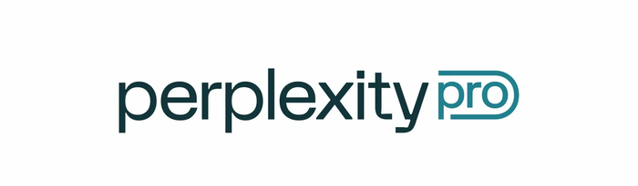 Perplexity ������