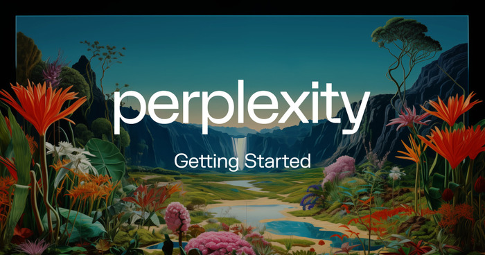 Perplexity Pro ������