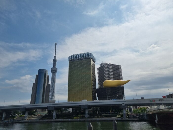 Вид с набережной на Токийскую башню.