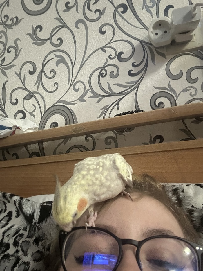 ������ � ����� �������� �����������)