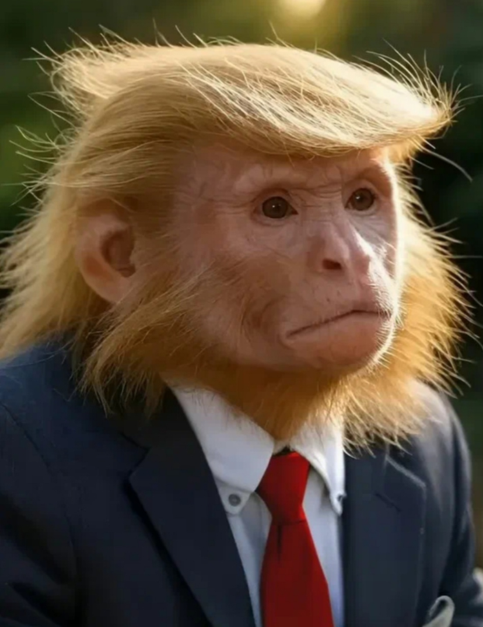 ��� ���� �����. ��-�� ������� ?