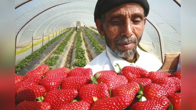 12 ������, �� ������� ������ ����������� ��������