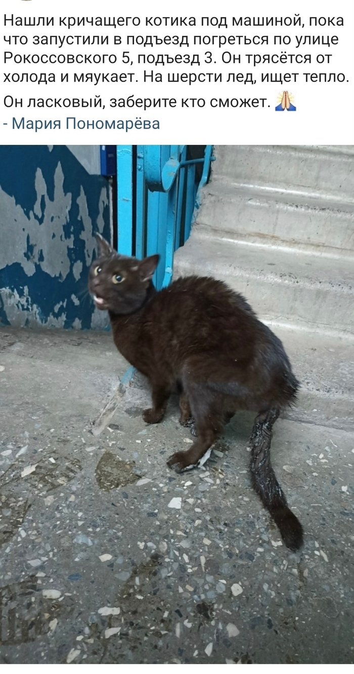 ������ � ������ ���������� ����?