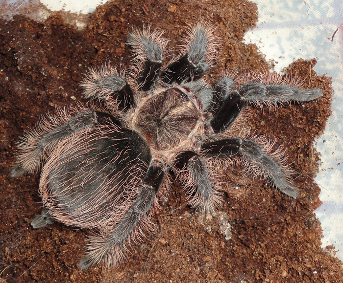 ��� ��, �12