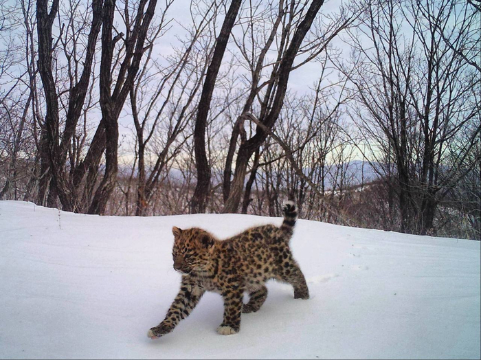  ������ ���� � ����� ������ ���������������� ��������