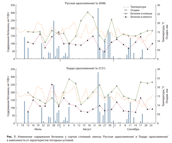 ������ �������� �� �������