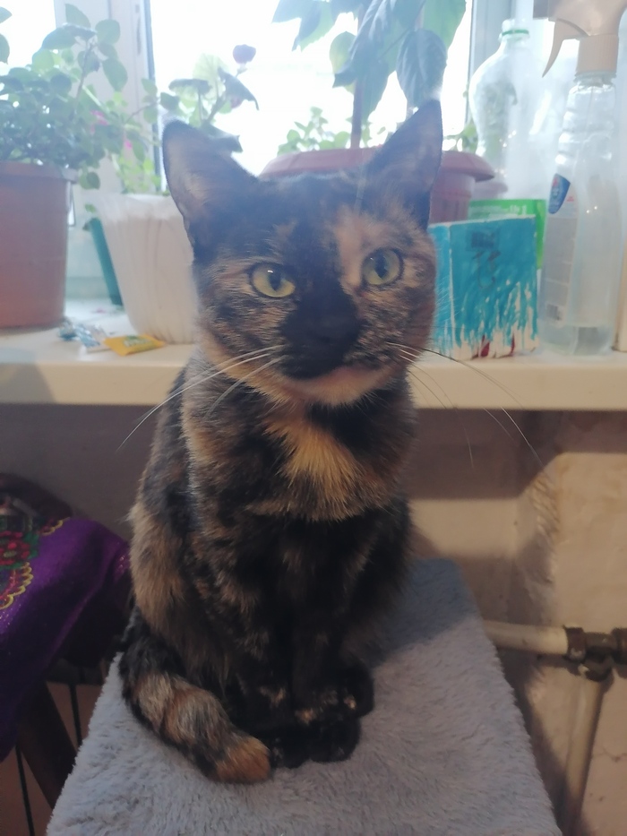 ��� �� ��� � "�����"?