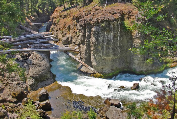 ���� ���