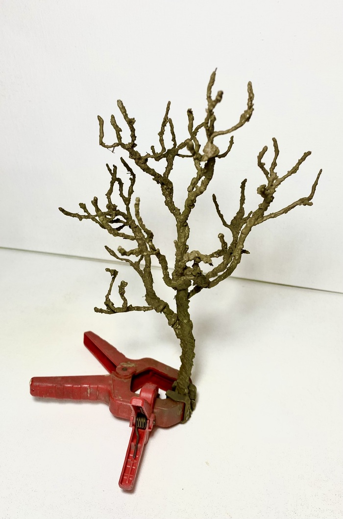 ����� ��������� ��������