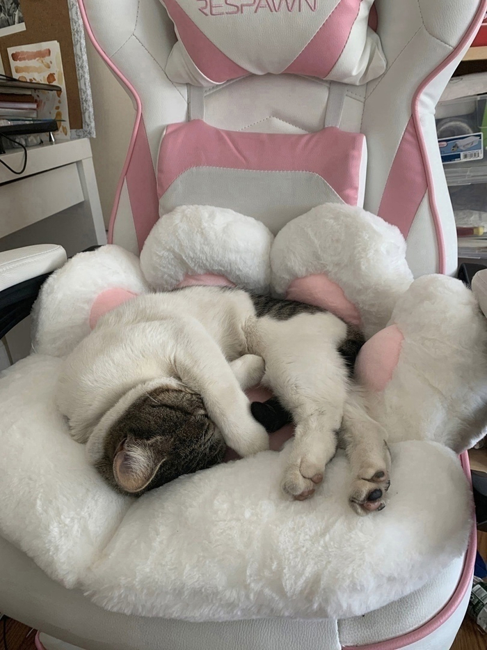 ����� � �����