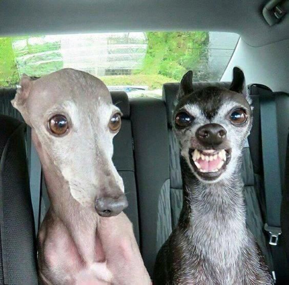 ���� ��� ���� ������