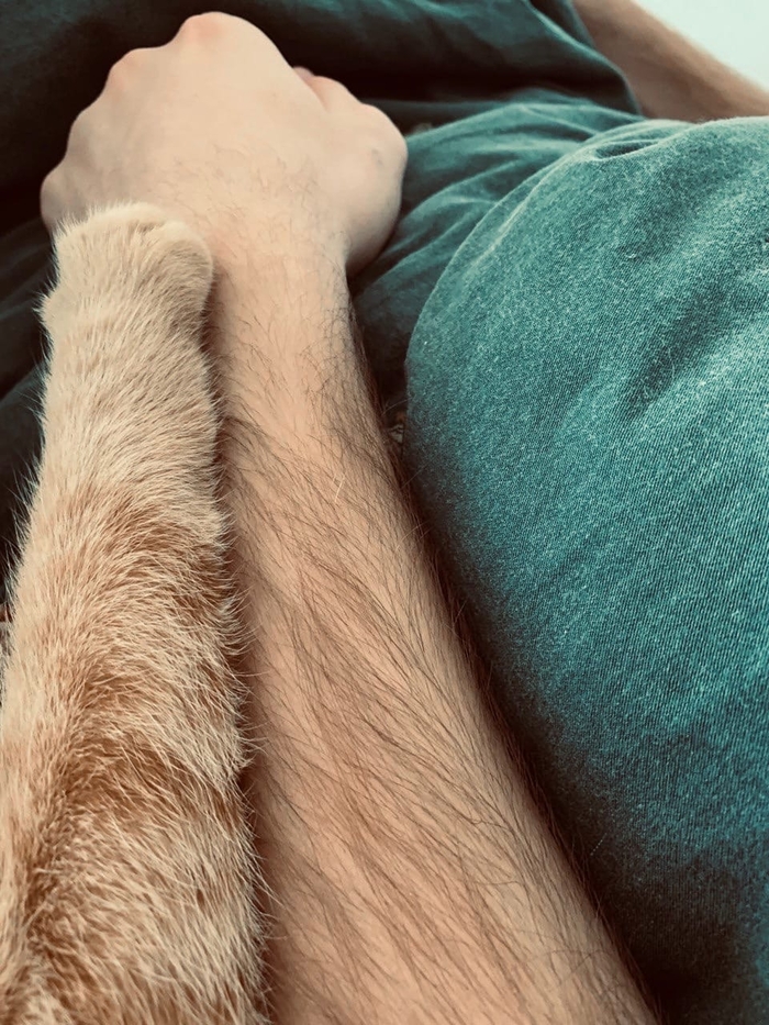 ����� �� ���� ����� � ���