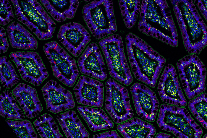 �������: ���������������� ����������� ������ (������� ������� �����, �������� ���������������������).