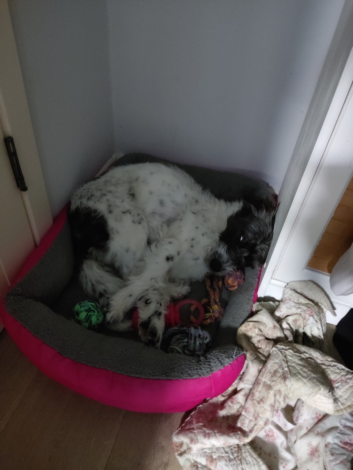 ��� ������ ��������!