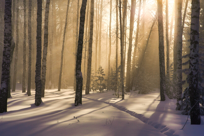 ����� �����