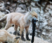 ����� ������� � VR 360