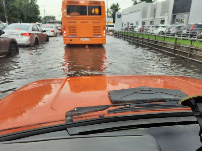 После дождичка