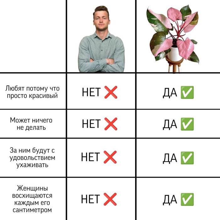 ������ ������� ��� ��������� ��������� �����