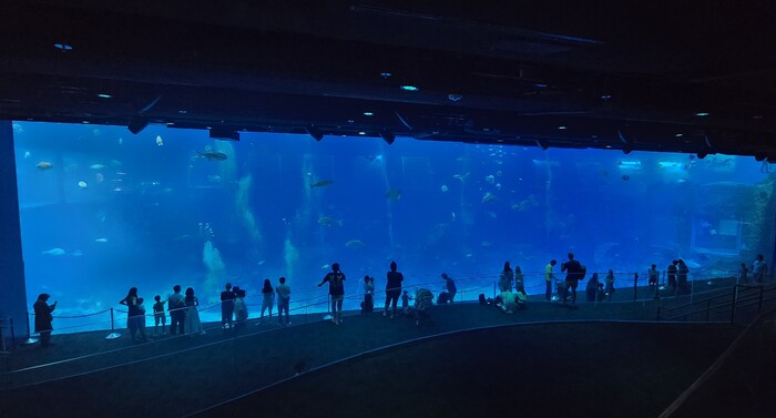 �������� � ������� �������� ��������� ������ ������� �� ���� ����