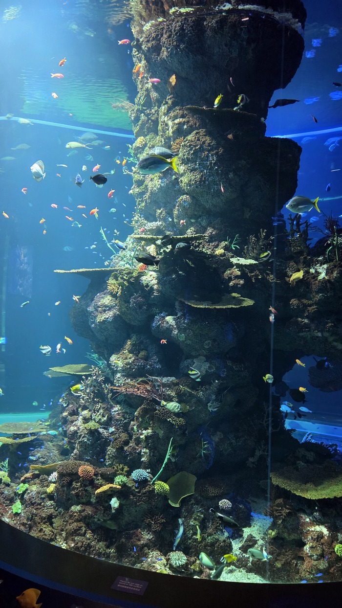 ���� ����� �������������� �������� �� ���� ����, ��� ����� � ������ � �� �������� - ������ ����� �� �������� (����� � ������� ����� �������, �� � ���� ����)