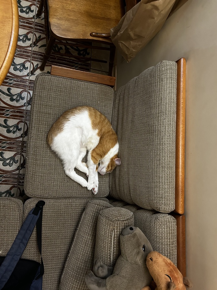 #�������