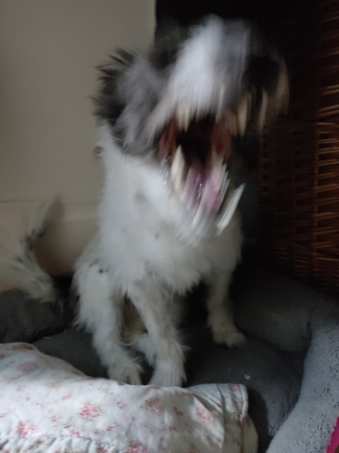 �������