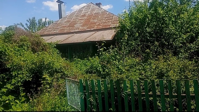 ������ ����� ����� � �������...