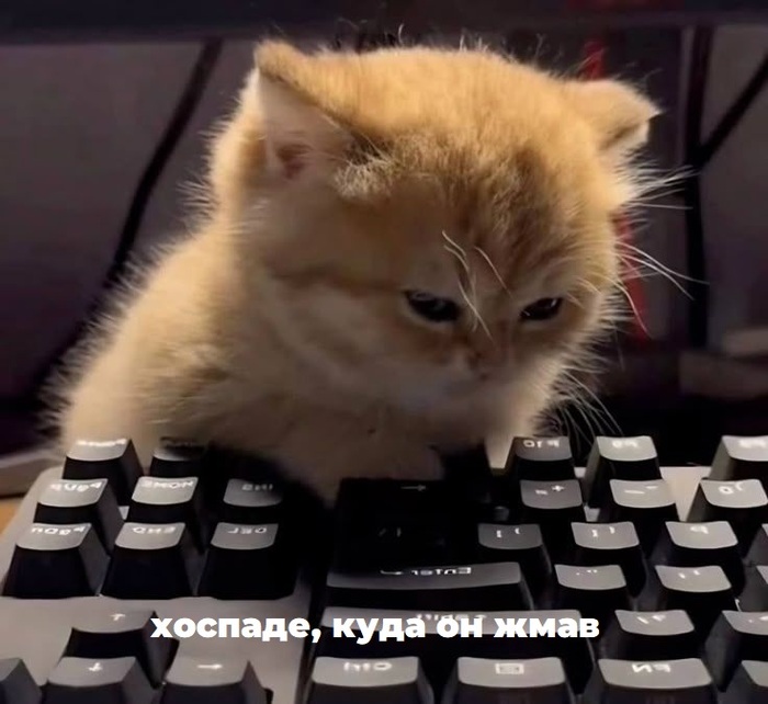 �����. �������, ��������� ���������� ��� ��������� (����� 2)