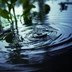 WaterRipples