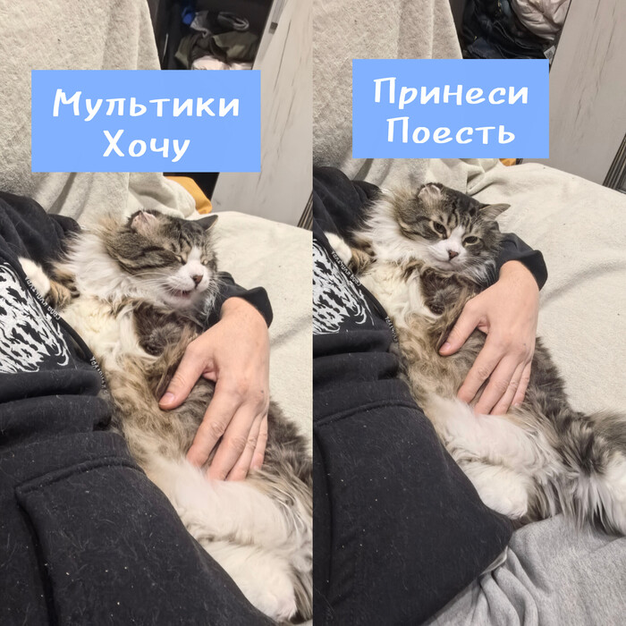 ���� ����)