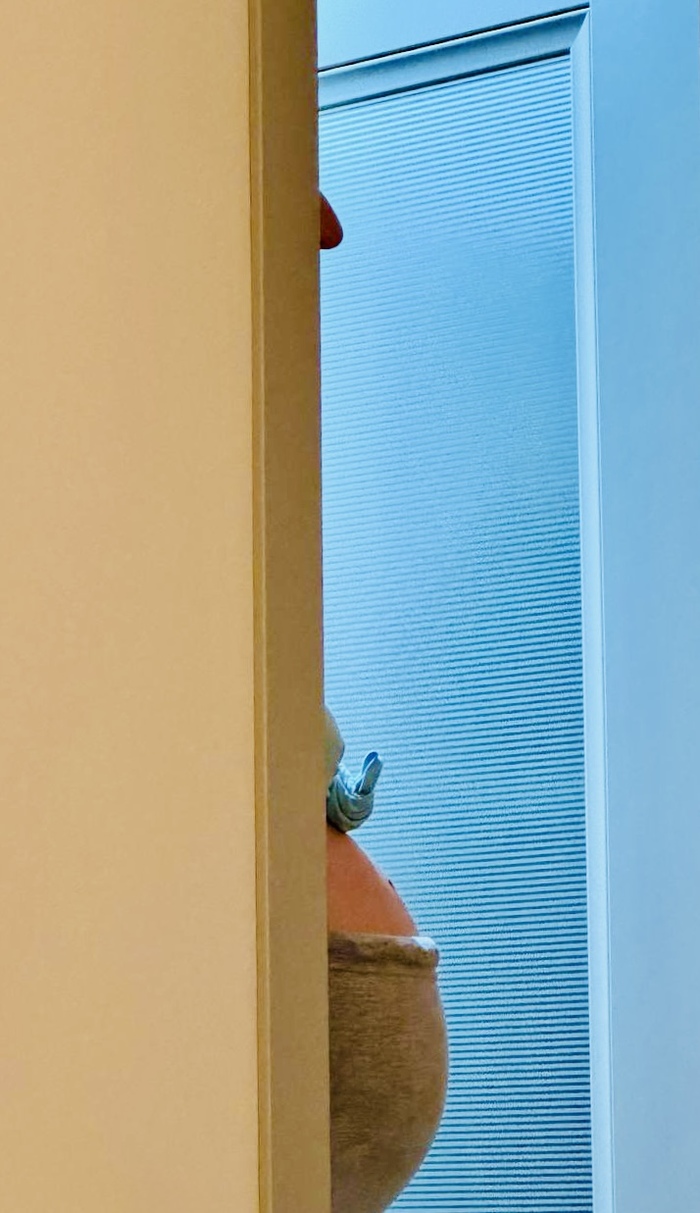 Фотосессия