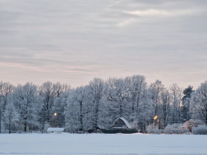 ������ ����� �� �������