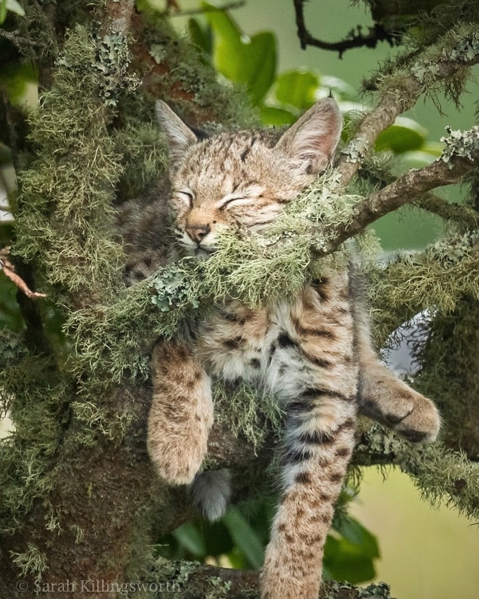 ���� ���� �� �����