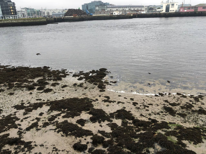 ���������� � ��������� ������.