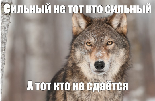 ������-������� (����� �� ���������)