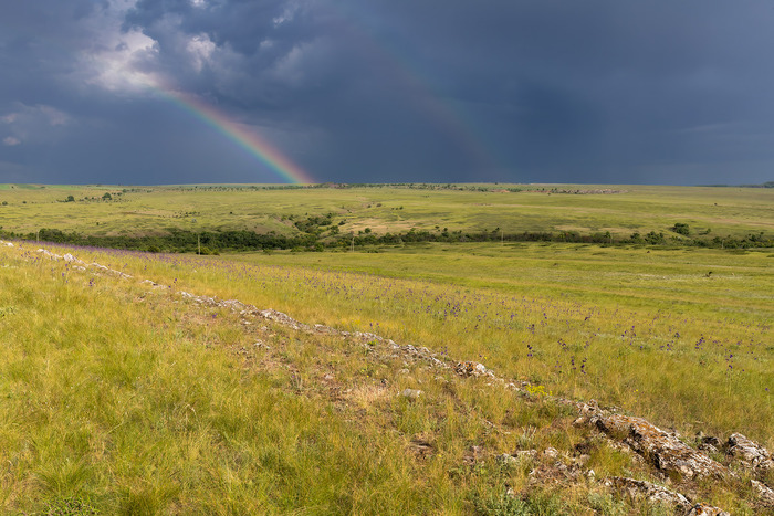 ������� ������