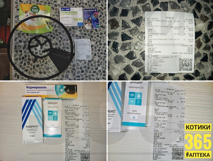 ������� 18.01.2026