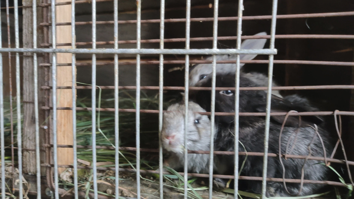 ���� ��������� - ������ ����������, ��� ��������� - ��� ����� ������ ����������