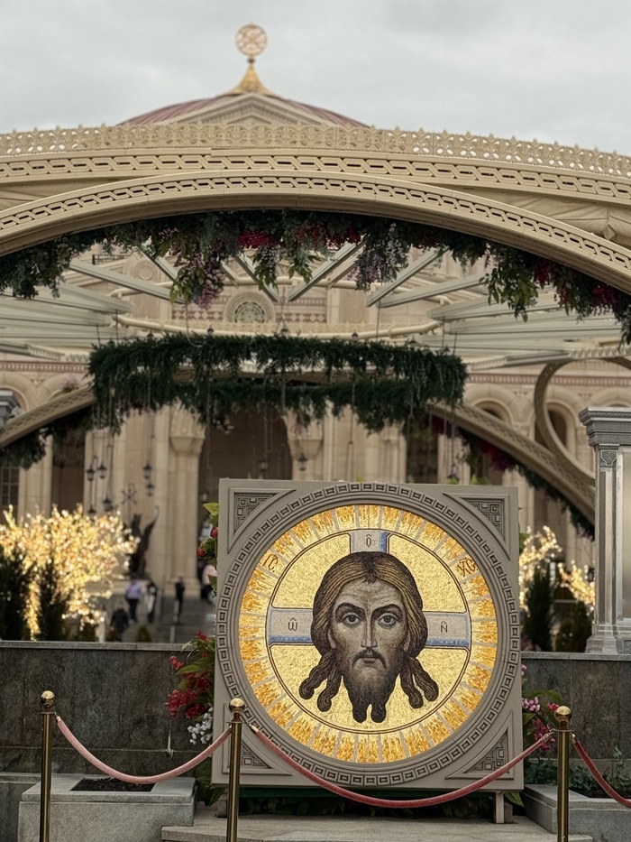 ����� ��������; �����������