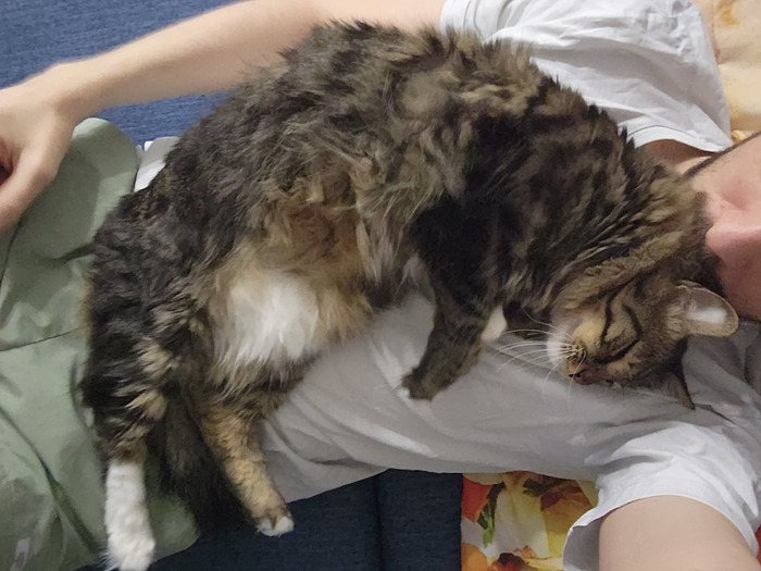 ���������� ������� #175